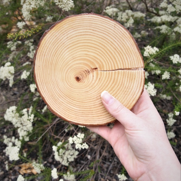 Tree of Life Crystal Grid Mosaic Wood Art Decor - Picture 3 of 7